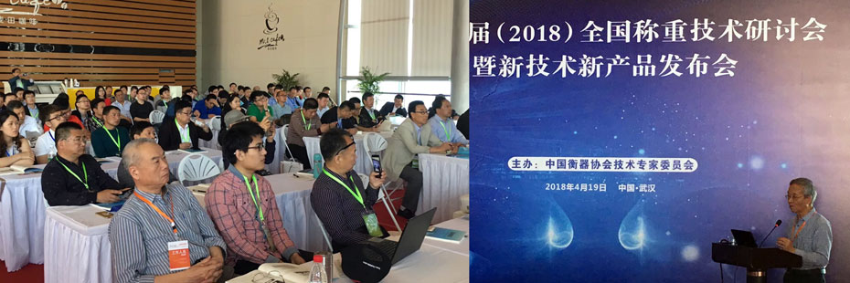 稱重儀表,壓力變送器,稱重傳感器,防爆電子秤,無線軸重秤軸重儀,吊鉤秤-Phishine合肥菲軒電子科技有限公司 稱重儀表,壓力變送器,稱重傳感器,防爆電子秤,無線軸重秤軸重儀,吊鉤秤-Phishine合肥菲軒電子科技有限公司