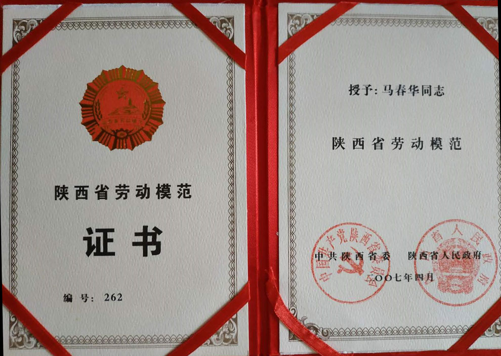 稱重儀表,壓力變送器,稱重傳感器,防爆電子秤,無線軸重秤軸重儀,吊鉤秤-Phishine合肥菲軒電子科技有限公司